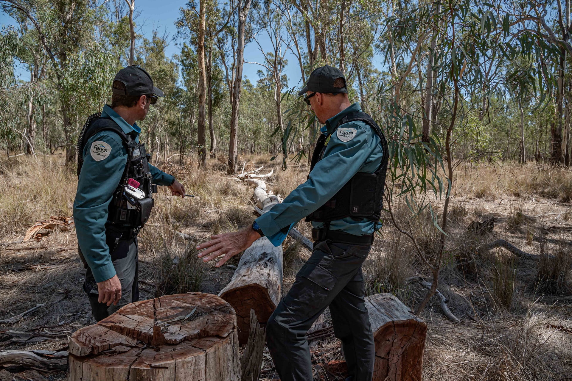Parks Victoria Authorised Officers investigate illegal firewood theft on the lands of the Yorta Yorta people in Shepparton Regional Park